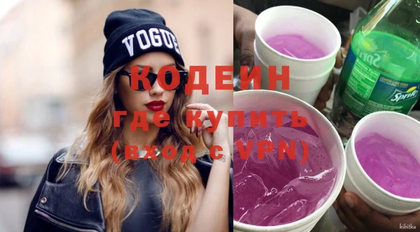 шишки Вяземский